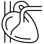 Heart SVG Icon